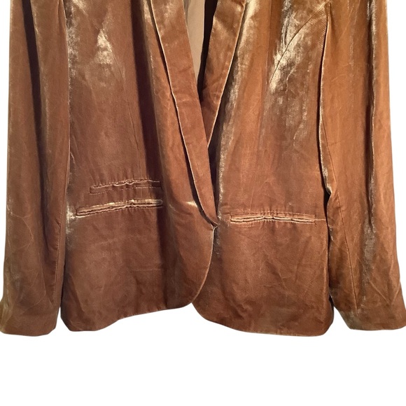 Garnet Hill Luxurious Tan Velvet Blazer Jacket Lined - Picture 4 of 8